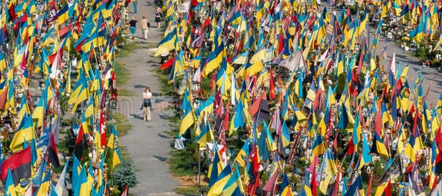 belokijmari@gmail.com 1773695218329